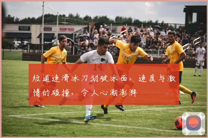 短道速滑冰刀划破冰面，速度与激情的碰撞，令人心潮澎湃