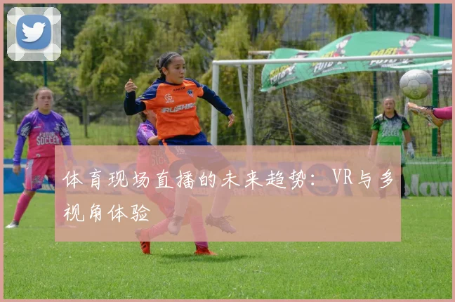体育现场直播的未来趋势：VR与多视角体验