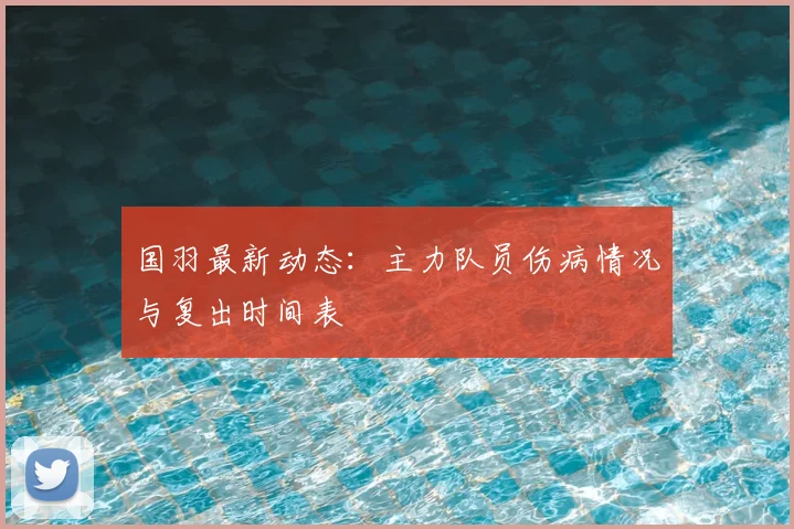 国羽最新动态：主力队员伤病情况与复出时间表