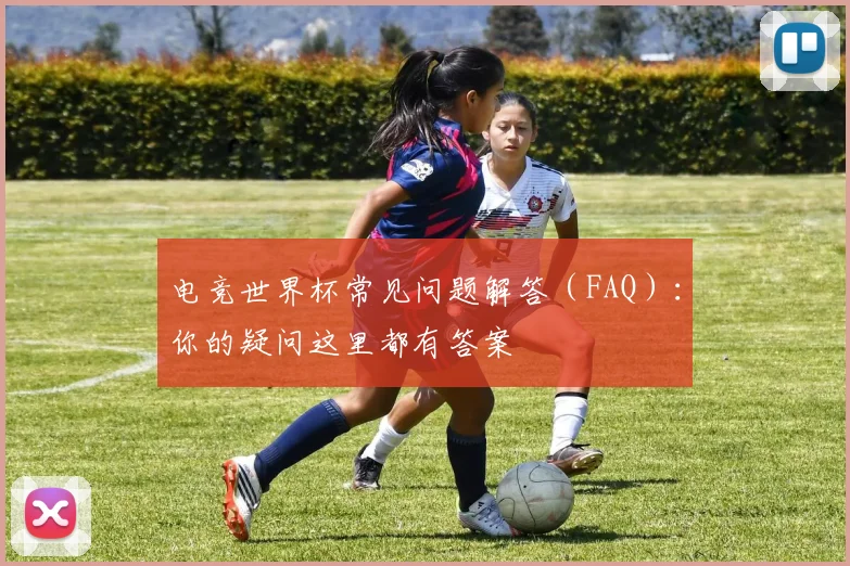 电竞世界杯常见问题解答（FAQ）：你的疑问这里都有答案